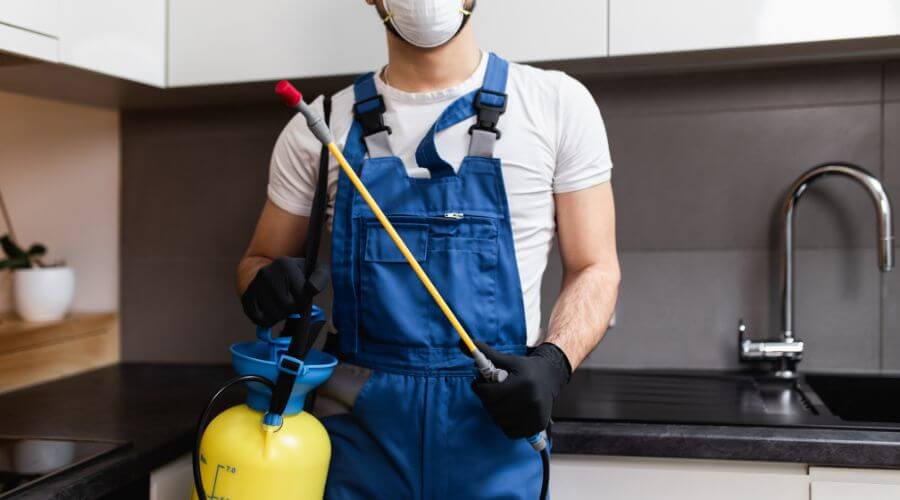 Why choose Spider Extermination Arcadia for spider extermination in Arcadia